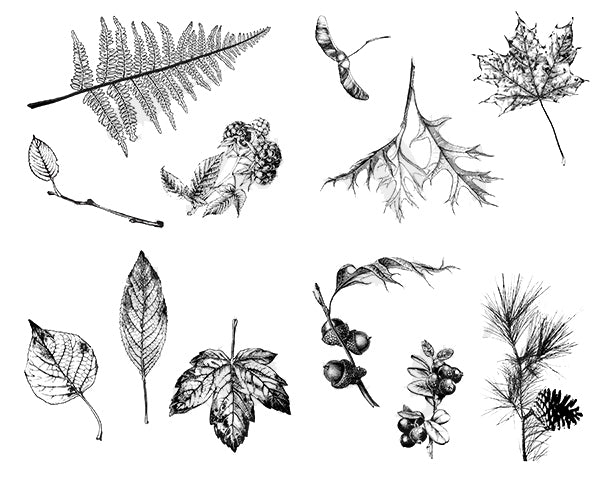 Designer Silkscreen - Botanical -Le1aves