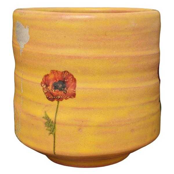 Amaco Glaze Low Fire Matt LM-67 Tangerine - Pint