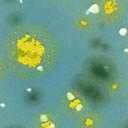 (CTL) Crystaltex