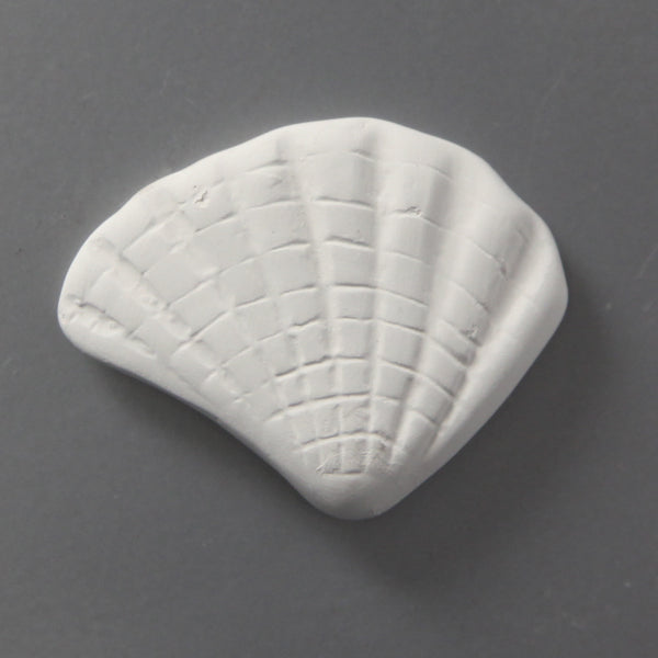 Bisque Large Clam Shell Tag Along 6cm x 4.5cm