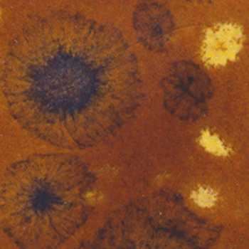 Amaco Crystaltex Glaze CTL-36 Ginger Bread - Pint