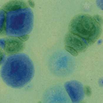 Amaco Crystaltex Glaze CTL-49 Azurite - Pint