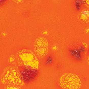 Amaco Crystaltex Glaze CTL-67 Summer Mango - Pint