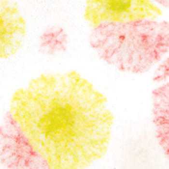 Amaco Crystaltex Glaze CTL-9 Snap Dragon - Pint