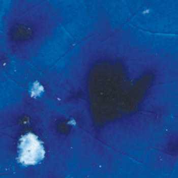 Amaco Crystaltex Glaze CTL-26 Sea Mist - Pint