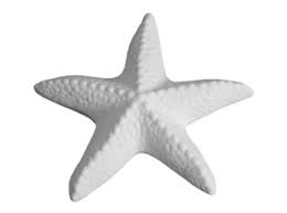 Hobby Ceramics Starfish Tot1cm Tall By 3cm Wide