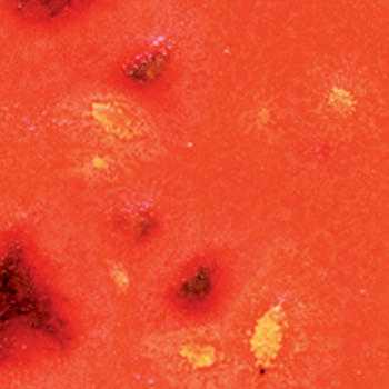 Amaco Crystaltex Glaze CTL-69 Sassy Saffron - Pint
