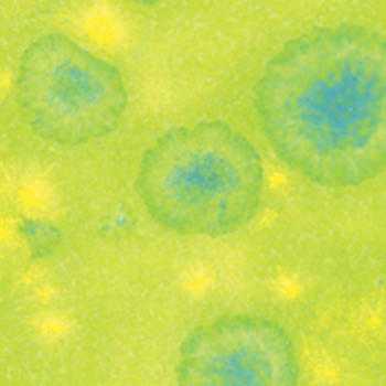 Amaco Crystaltex Glaze CTL-41 Melon - Pint