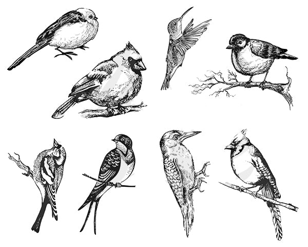 Designer Silkscreen - Aviary - Small Bird