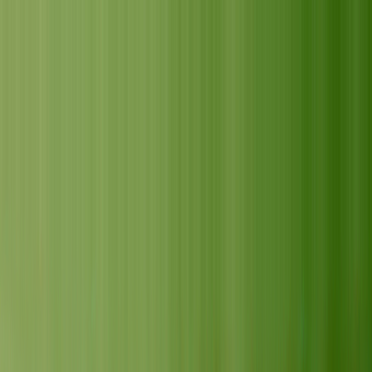 Porcelain Paints Josephine Moss Green