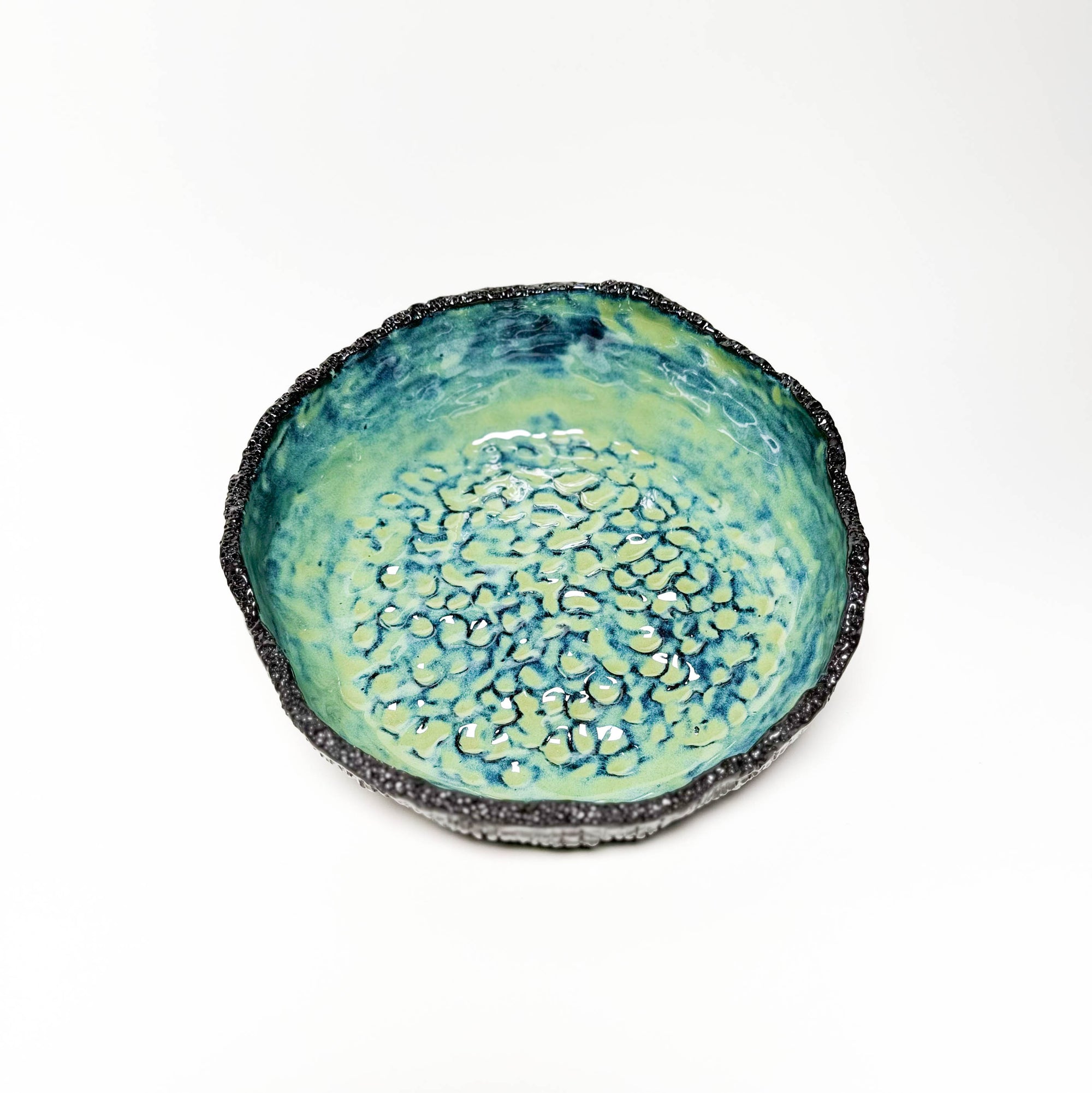 Coral Shell Bowl