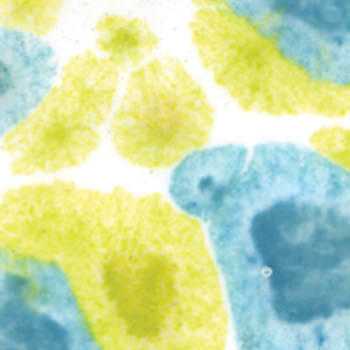 Amaco Crystaltex Glaze CTL-10 Peppermint Ice - Pint