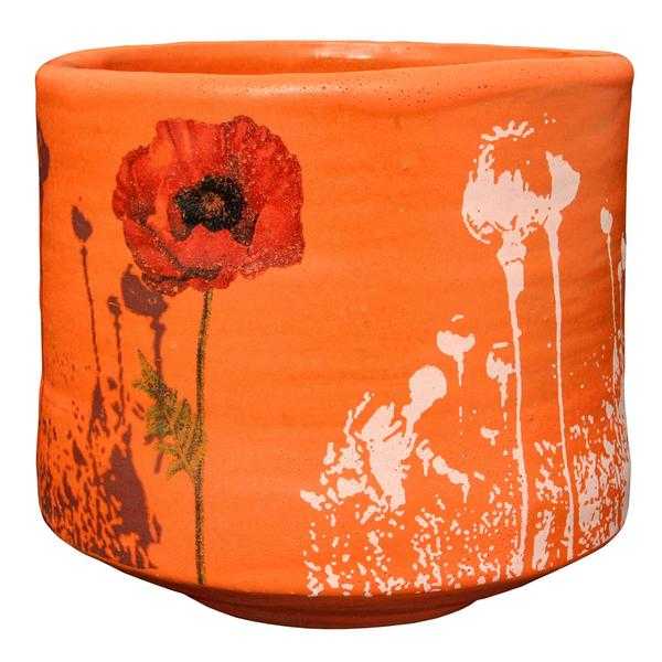 Amaco Glaze Low Fire Matt LM-66 Orange - Pint